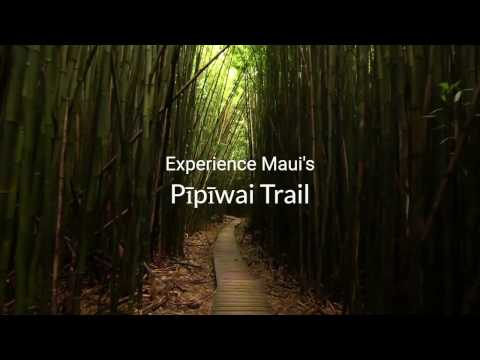 Pipiwai Trail - Maui