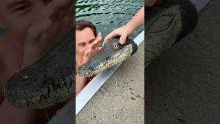 She’ll never go fishing again!🐊