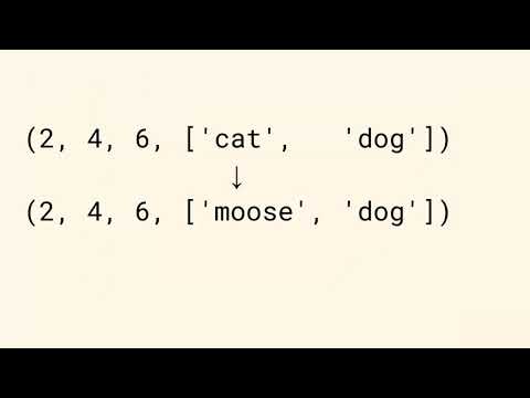 The Amazing Mutable Immutable Tuple and Other Philosophic Digressions
