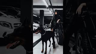 BLVCK PARIS preset - free Lightroom presets | short video | #shorts #blvckparis #azediting #edit