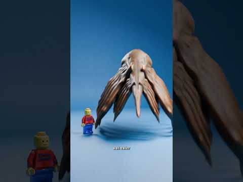 Fish Skin vs Whale Skin