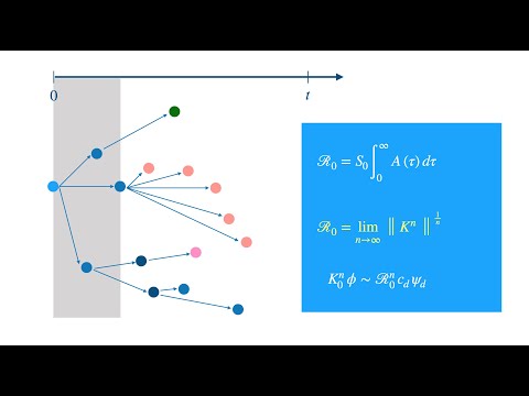 R0: The maths behind the Basic Reproduction Number