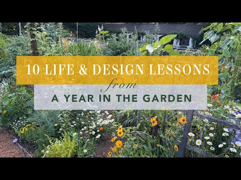 Top 10 Garden Lessons | What I Learned Last Year