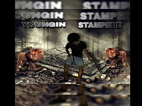 Youngin - Stampede (Official Audio)