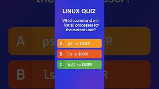 Tech Brain Teaser: Choose the Correct Option!|QUIZ1 #quiz  #techshorts #coding