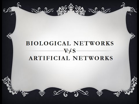 2  Difference between Biological and Artificial Neural Networks