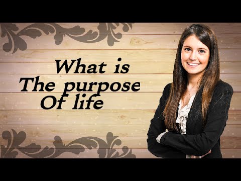 What's the purpose of life | Healthy lifestyle
