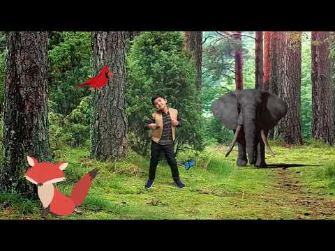 आओ करे जंगल की सैर,let's take a walk in the forest