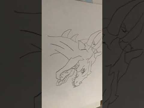 Dragon drawing