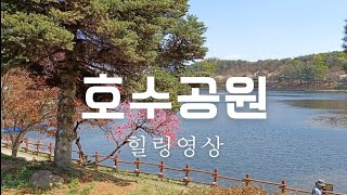 [힐링영상] 호수공원의 아름다운 풍경 감상