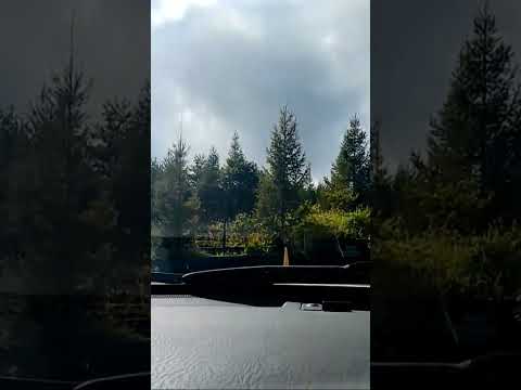 車で富士山。御殿場口。