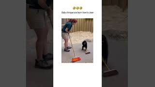 #Shorts#Viral#Trending#FYP#Explore#MustWatch#Watch Now#Shorts#YouTube Shorts#saastips#b2b#nature#lov