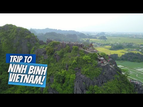 Vietnam 2023 Trip Part 3 | Ninh Binh | Tam Coc | VLog