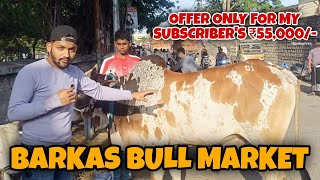 Barkas Bull Market | Best Bulls Of Hyderabad | Qurbani k Bade Janwar | Hyderabad Old City