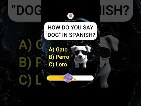 Think Fast! how many Spanish questions did you nail?  #quiz #learnspanish #spanish