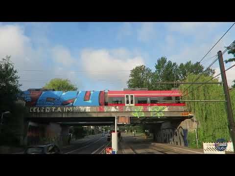 F.C. Hansa Rostock Südtribüne Jahreskarte 2021/2022