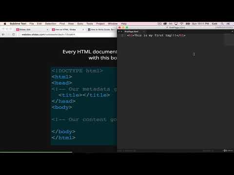 Complete Web Developer Bootcamp #8 | HTML Boilerplate and Comments