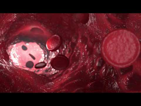 BCI Centre for Haemato-Oncology
