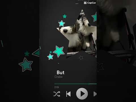 Capcut edit of the dogs