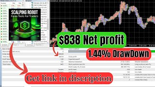 Scalping EA Robot Review – High-Speed Forex Trading on MT4!