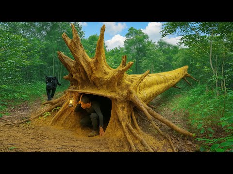 “I Was Found by a Tiger — The Secret Bunker Under a Giant Tree Root Failed to Save Me!”