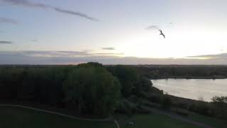 NOOB to FPV pilot Episode 2