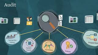 Performing Audits in Enterprise Data Management