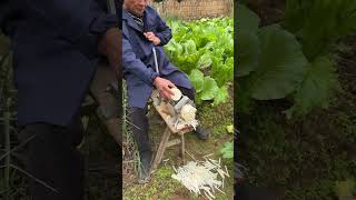 The method of shredding radishes; having good tools can make it easier.