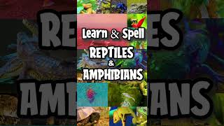 Introduction to Learn & Spell: Reptiles and Amphibians | Spelling for Kids | Learn & Spell Animals