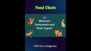 Food Chain @ STEM Science #scienceforkids #ecologicalbalance #stemeducation #science