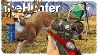 Game Feeders change EVERYTHING (the deer come to me now) | theHunter: Call of the Wild