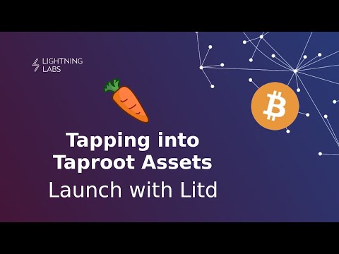 Tapping into Taproot Assets #3: Launch with Litd