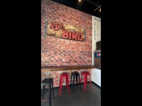 Welcome to "The BIRD"