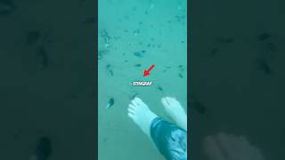 Does the Stingray shuffle ACTUALLY work?! 😳 #shorts