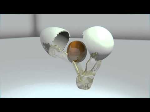 Blender egg Fluid test.avi
