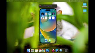 Splash Screen using SwiftUIView | Beginner Tutorial #iOS #iostutorial #swiftui #splashscreen 💻