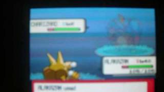 Learn how to EV Train in 5minutes  BY *Shadow