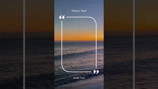 Decision Fatigue: How Choices Affect Your Life! #DecisionsMatter #ChoiceOverload #SmartDecisions
