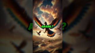 WHO WERE ABABIL? #islam #muslim #explore #explorepage #quran #story #kaaba #allah #exploreislam