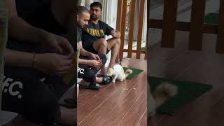 Goa Diaries ✨ Memories That Stay Forever