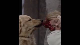 Top 5 SNL skit of all time?  Just the good part?  Thanks Dana Carvey. See playlist.