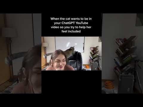 Chloe was a paid actor #chatgpt #catvideos #blooper #catfails