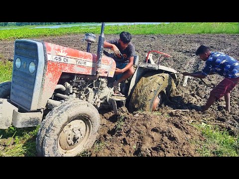 Tractor Stuck in Deep Mud | Tafe 45 Di Tractor | Tractor Rescued Try | Tractor Videos | Tractor Q