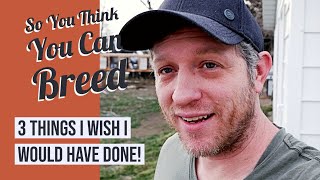 Breeding Ball Pythons for Beginners - The Best way to get into breeding snakes and reptiles