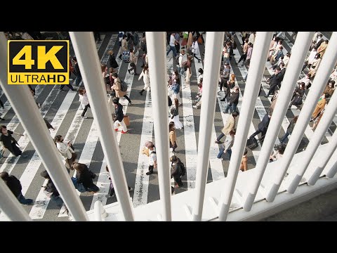 Osaka Umeda Station Crossing Ambience (DCI 4K, Stereo Sound) ASMR