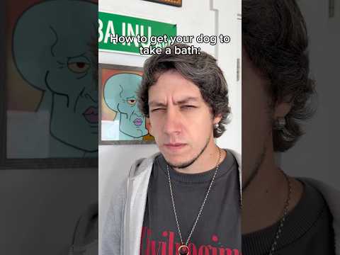 This method works every time 👆🏻 #dog #dogs #funny #funnydogs