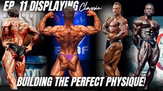 How I'm going to build THE PERFECT PHYSIQUE!