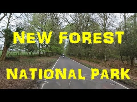BMW R1200 GSA New Forest National Park UK