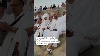 Pilgrims gather at Mount Arafat for sacred hajj ritual
