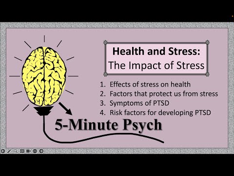 The Impact of Stress